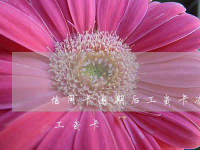 信用卡逾期后工资卡冻结(银行贷款逾期冻结工资卡)