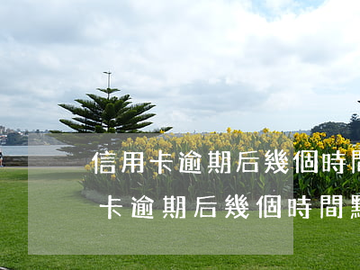 信用卡逾期后幾個時間點(diǎn)(信用卡逾期后幾個時間點(diǎn))