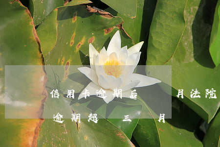 信用卡逾期后幾個月法院來人(欠信用卡的錢逾期超過三個月)