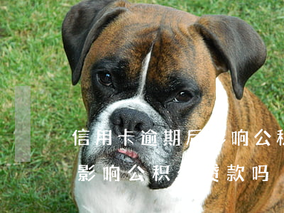 信用卡逾期后影响公积金贷款吗(银行卡逾期影响公积金贷款吗)