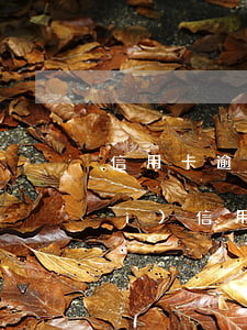 信用卡逾期后影響以后用卡嗎(逾期對(duì)信用卡的影響)
