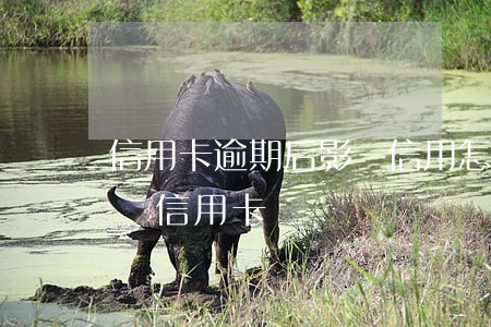 信用卡逾期后影響信用怎么辦(貸款逾期了影響信用卡嗎)