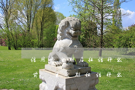 信用卡逾期后征信什么時候恢復(fù)(之前嚴重逾期,征信什么時候恢復(fù))