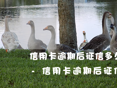 信用卡逾期后征信多久能恢復(fù)正常-信用卡逾期后征信多久能恢復(fù)正常呢