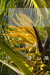 信用卡逾期后征信有污點(diǎn)嗎(征信上顯示信用卡逾期)