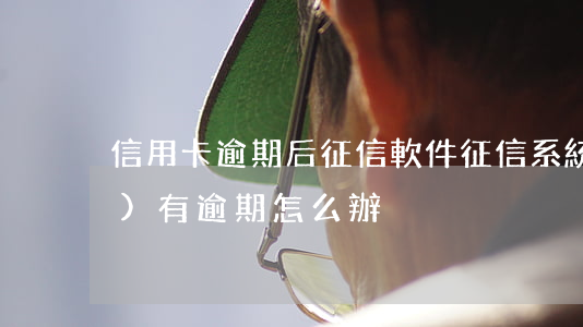 信用卡逾期后征信軟件 征信系統(tǒng)有逾期怎么辦