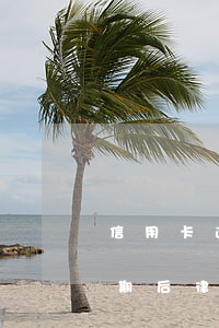 信用卡逾期后律师调解期是几天-信用卡逾期后律师调解期是几天