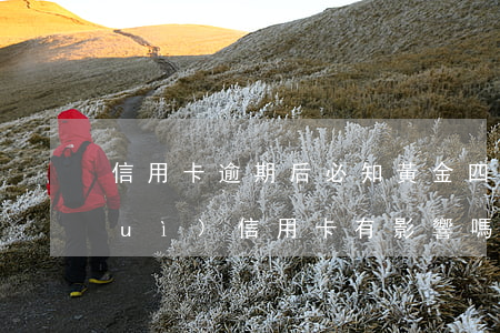 信用卡逾期后必知黃金四條(金條逾期對(duì)信用卡有影響嗎)