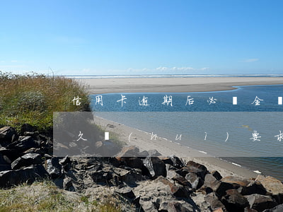 信用卡逾期后必須全額還款嗎(信用卡逾期多久會(huì)要求還全額)