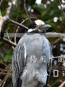 信用卡逾期后忌諱什么(今年的信用卡逾期有什么處理)