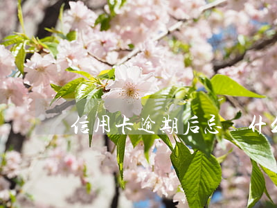 信用卡逾期后忌諱什么(信用卡逾期可以)