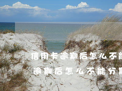 信用卡逾期后怎么不能分期還款了-信用卡逾期后怎么不能分期還款了呢