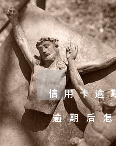 信用卡逾期后怎么保護好個人信息-信用卡逾期后怎么保護好個人信息安全