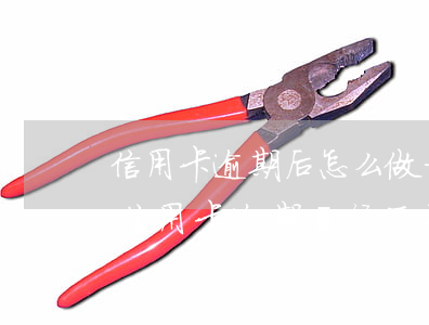 信用卡逾期后怎么做才不被民事起訴 為什么信用卡逾期銀行不起訴
