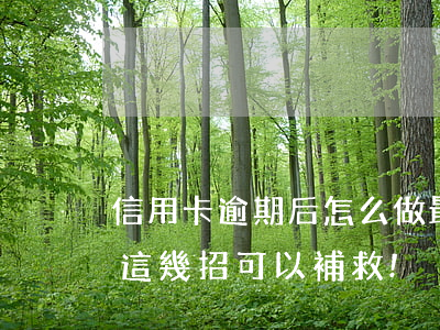 信用卡逾期后怎么做最好(信用卡逾期?不要慌,這幾招可以補救!)