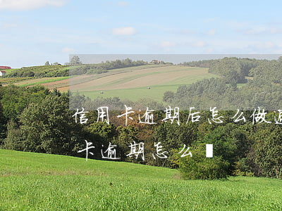 信用卡逾期后怎么做避免被判刑(因判刑信用卡逾期怎么辦)