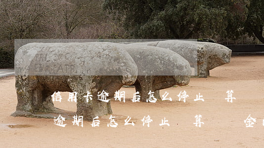信用卡逾期后怎么停止計算滯納金-信用卡逾期后怎么停止計算滯納金的