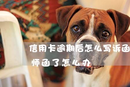 信用卡逾期后怎么写诉函(信用卡逾期发来律师函了 怎么办)