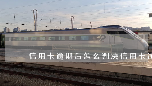 信用卡逾期后怎么判决(信用卡逾期怎么判刑)