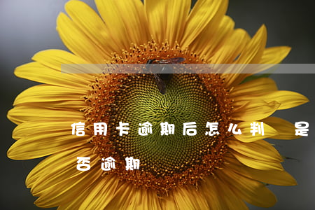 信用卡逾期后怎么判斷是否起訴(查信用卡是否逾期)