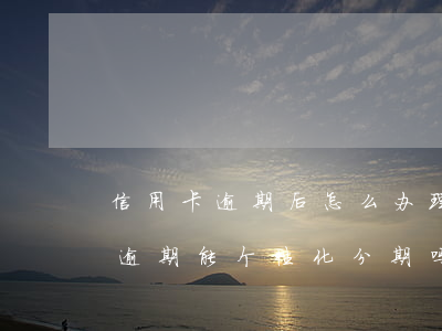 信用卡逾期后怎么办理个性化分期(银行贷款逾期能个性化分期吗)