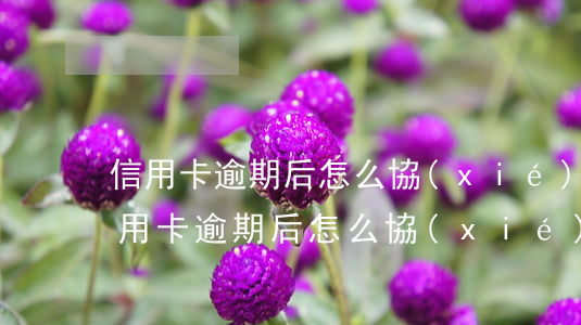 信用卡逾期后怎么協(xié)商分期-信用卡逾期后怎么協(xié)商分期還款