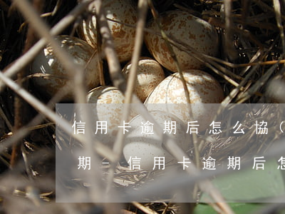 信用卡逾期后怎么協(xié)商分期60期-信用卡逾期后怎么協(xié)商分期60期還款