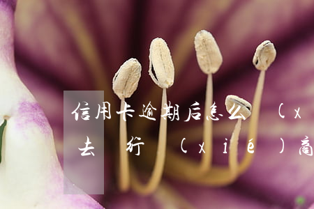 信用卡逾期后怎么協(xié)商最好(怎么去銀行協(xié)商信用卡逾期分期)
