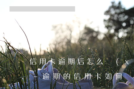 信用卡逾期后怎么協(xié)商還款本金-逾期的信用卡如何還款