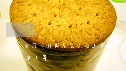 信用卡逾期后怎么去上岸(信用卡欠款怎么快速上岸)