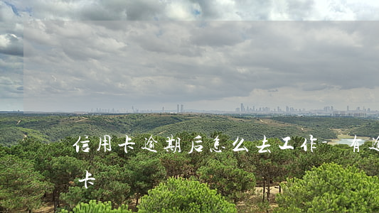 信用卡逾期后怎么去工作-有逾期想辦信用卡