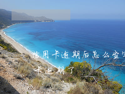 信用卡逾期后怎么坐牢(剛坐牢釋放出來信用卡逾期了)