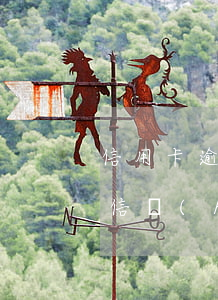 信用卡逾期后怎么更新征信(還清了信用卡征信會(huì)立刻更新嗎)