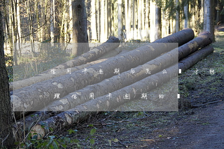 信用卡逾期后怎么樣才能修復(fù) 有處理信用卡逾期的嗎