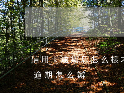 信用卡逾期后怎么樣才能貸款 貸款有信用卡逾期怎么辦