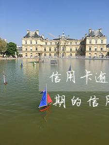 信用卡逾期后怎么歸還賬務(wù)處理(逾期的信用卡如何還款)