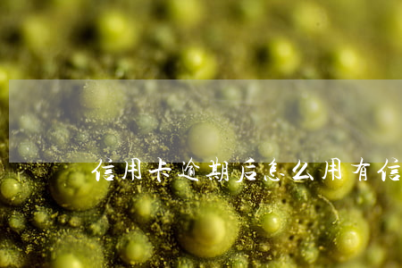 信用卡逾期后怎么用(有信用卡逾期怎么辦)