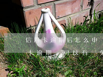 信用卡逾期后怎么申請免息還款(為什么信用卡逾期還可以有減免)