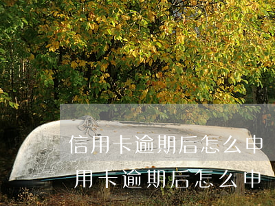 信用卡逾期后怎么申請網(wǎng)貸(信用卡逾期后怎么申請網(wǎng)貸還款)
