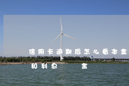 信用卡逾期后怎么看本金(怎么查信用卡本金和利息違約金)