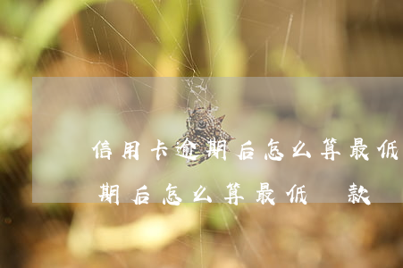 信用卡逾期后怎么算最低還款額-信用卡逾期后怎么算最低還款額呢