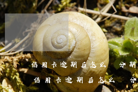 信用卡逾期后怎么簽分期協(xié)議-信用卡逾期后怎么簽分期協(xié)議