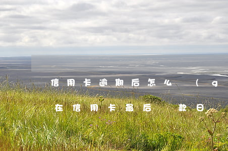 信用卡逾期后怎么規(guī)定還款計劃(在信用卡最后還款日還款算逾期不)