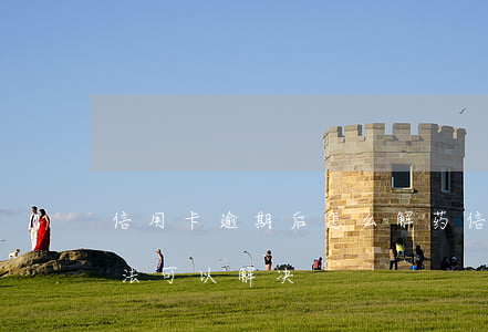 信用卡逾期后怎么解药(信用卡逾期有什么办法可以解决)