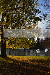信用卡逾期后怎么計(jì)算本金是多少-信用卡逾期后怎么計(jì)算本金是多少錢