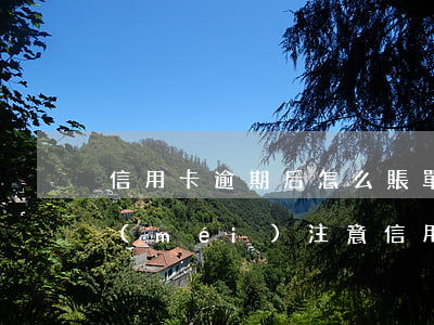信用卡逾期后怎么賬單沒(méi)有了(沒(méi)注意信用卡逾期了)