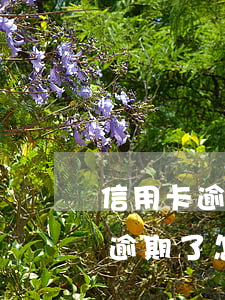 信用卡逾期后怎么辦上海招商 有貸款信用卡逾期了怎么辦