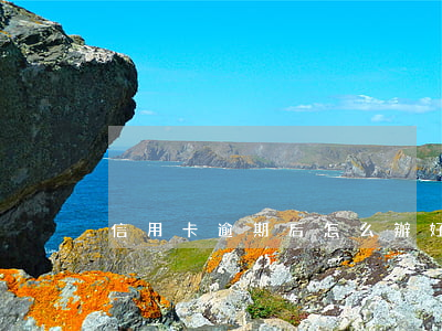 信用卡逾期后怎么辦好(逾期 信用卡)