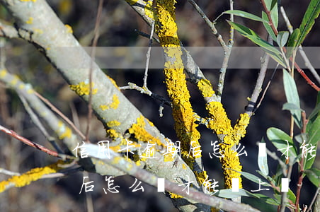 信用卡逾期后怎么辦才能還上-信用卡逾期后怎么辦才能還上錢