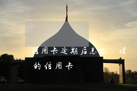 信用卡逾期后怎么辦理個性還款(怎么還逾期的信用卡)
